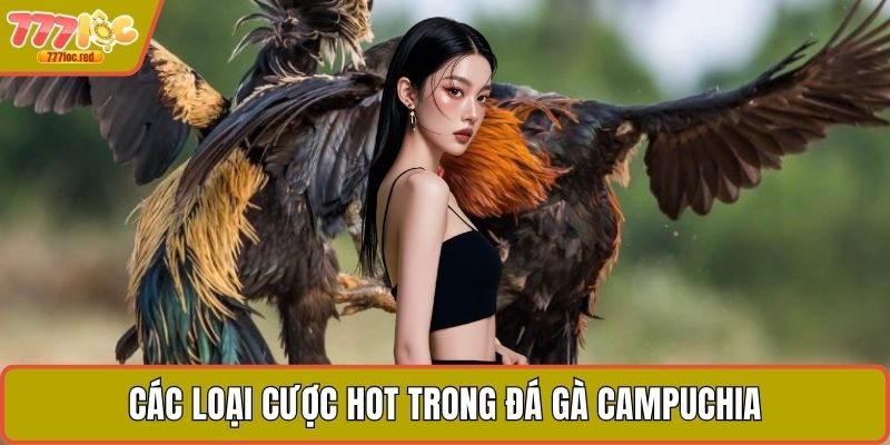 Các loại cược hot trong đá gà Campuchia