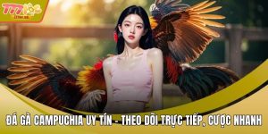 Đá Gà Campuchia Uy Tín