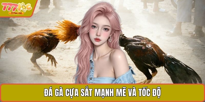 Đá gà cựa sắt mạnh mẽ và tốc độ