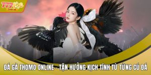 Đá Gà Thomo Online