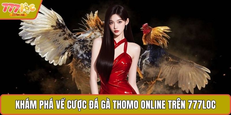 Khám phá về cược đá gà Thomo online trên 777LOC