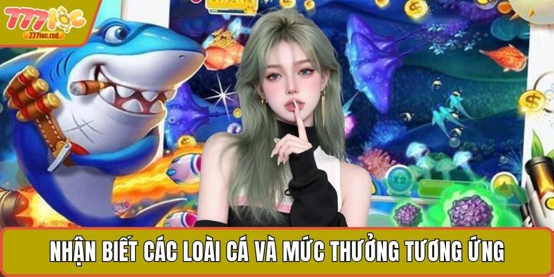 Nhận biết các loài cá và mức thưởng tương ứng