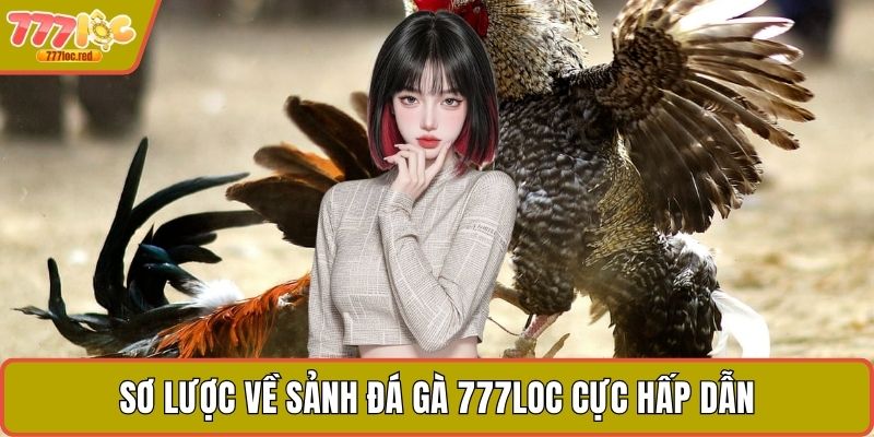 Sơ lược về sảnh đá gà 777LOC cực hấp dẫn