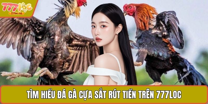 Tìm hiểu đá gà cựa sắt rút tiền trên 777LOC